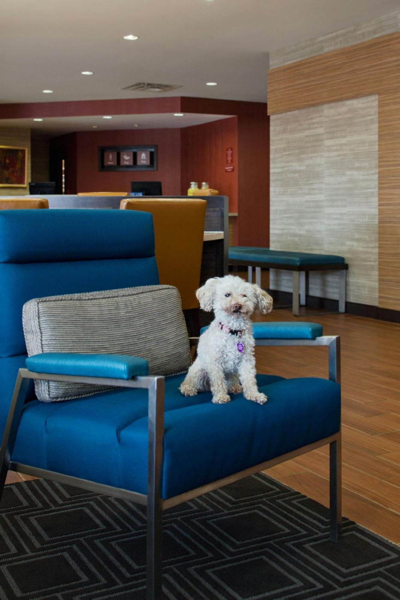 Towneplace Suites By Marriott Austin Round Rock Zewnętrze zdjęcie